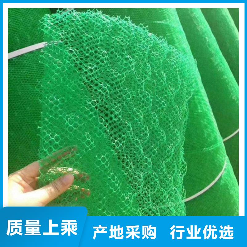 三维植被网,复合土工膜卓越品质保障