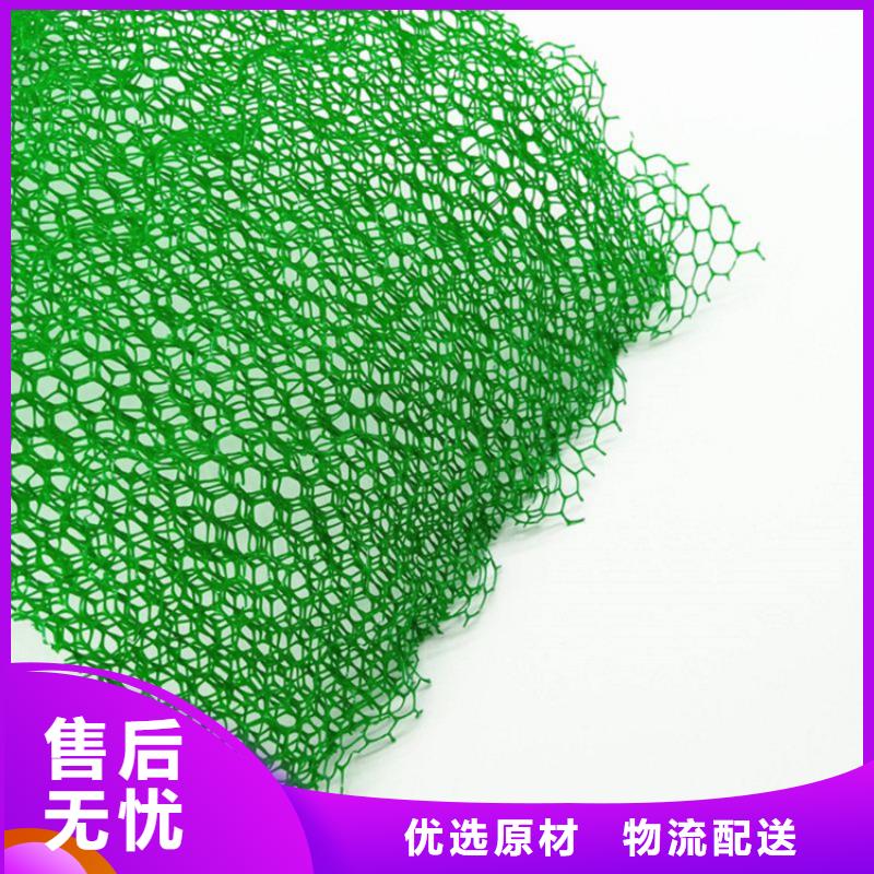 三维植被网批发经销