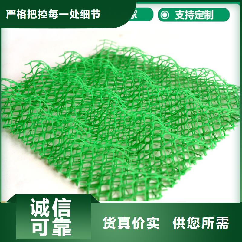 环保EM2三维固土网垫