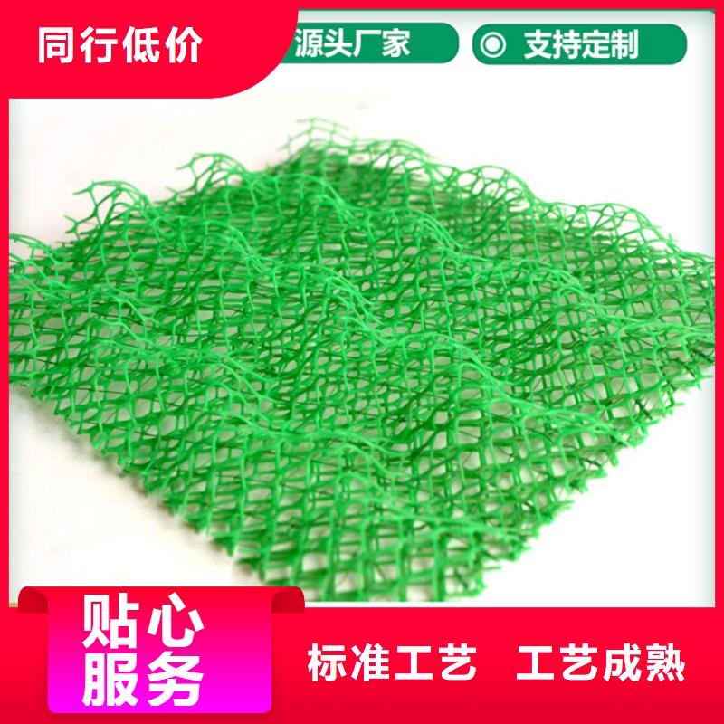 EM4三维固土网垫厂家动态