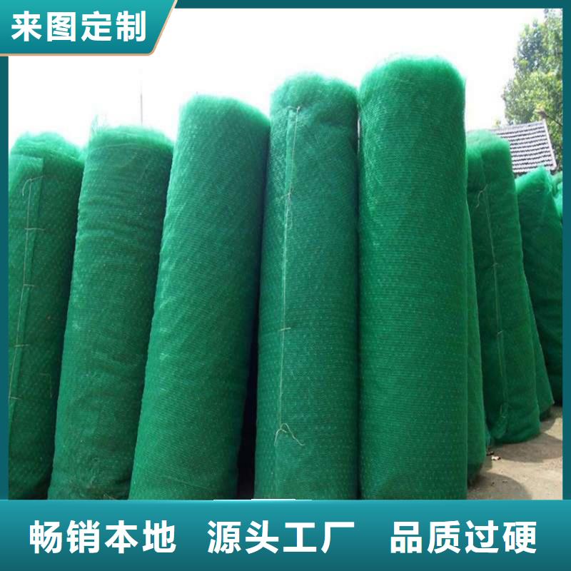 三维植被网批发经销