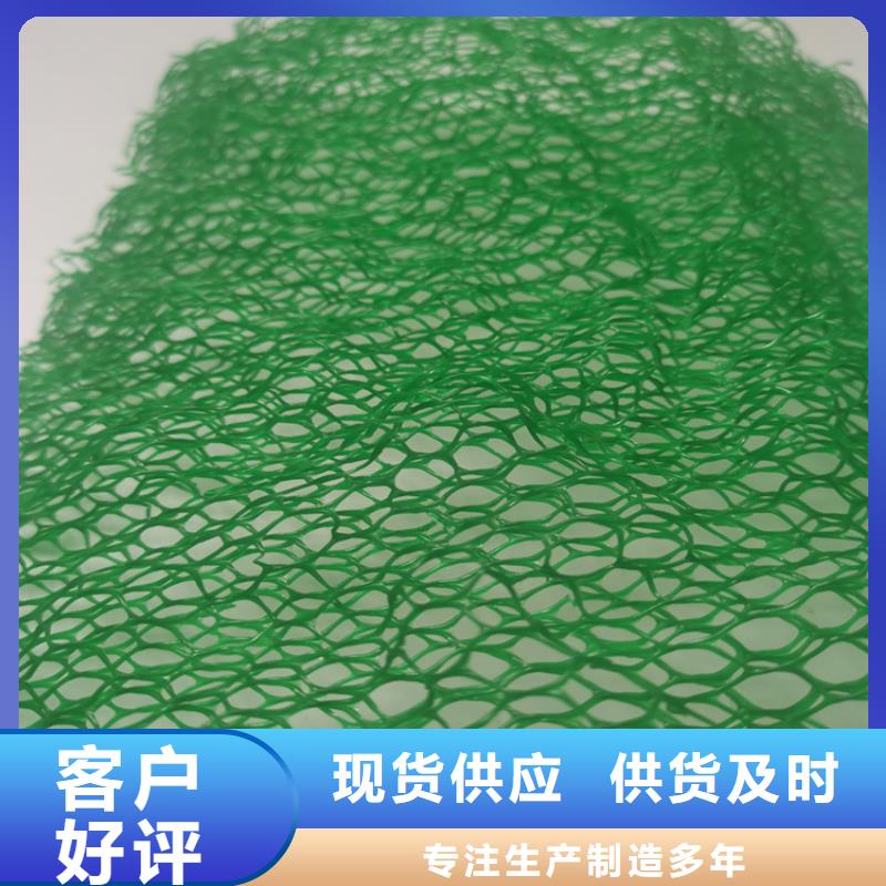 环保EM2三维固土网垫