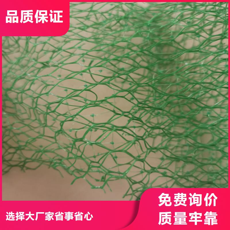 环保EM2三维固土网垫