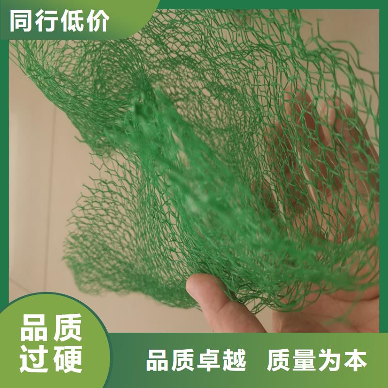 三维植被网批发经销