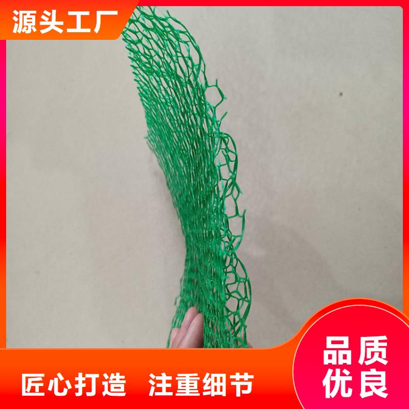 EM4三维固土网垫厂家动态