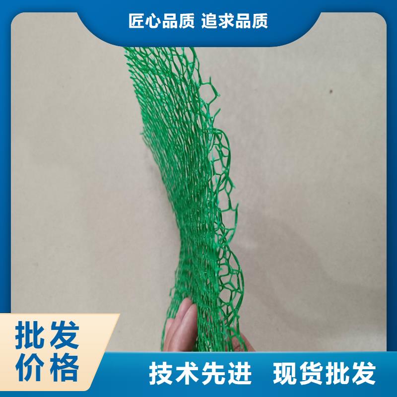 三维植被网土工膜实力厂家直销