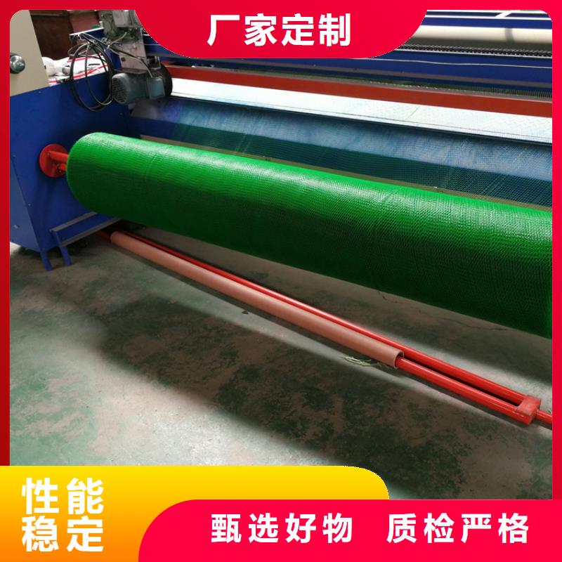 三维植被网,复合土工膜卓越品质保障