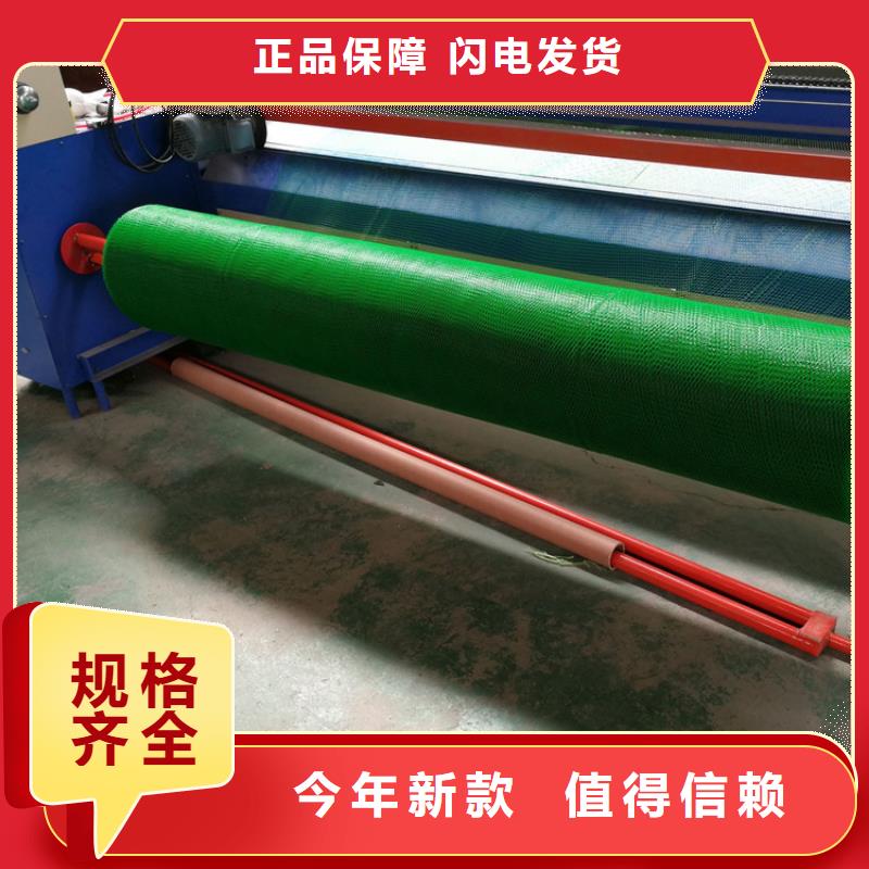 三维植被网膨润土防水毯工程施工案例