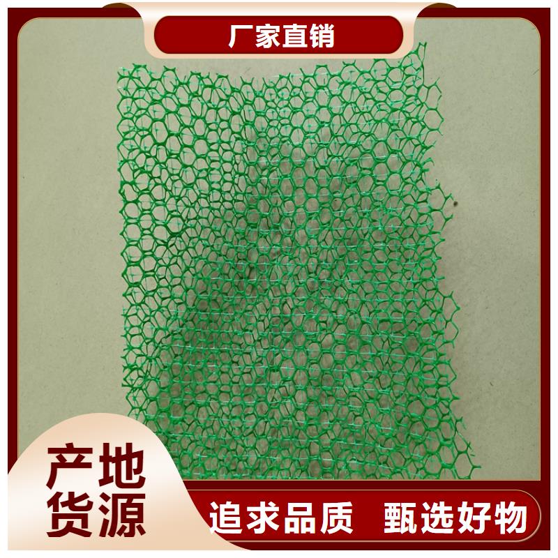 EM4三维固土网垫厂家动态