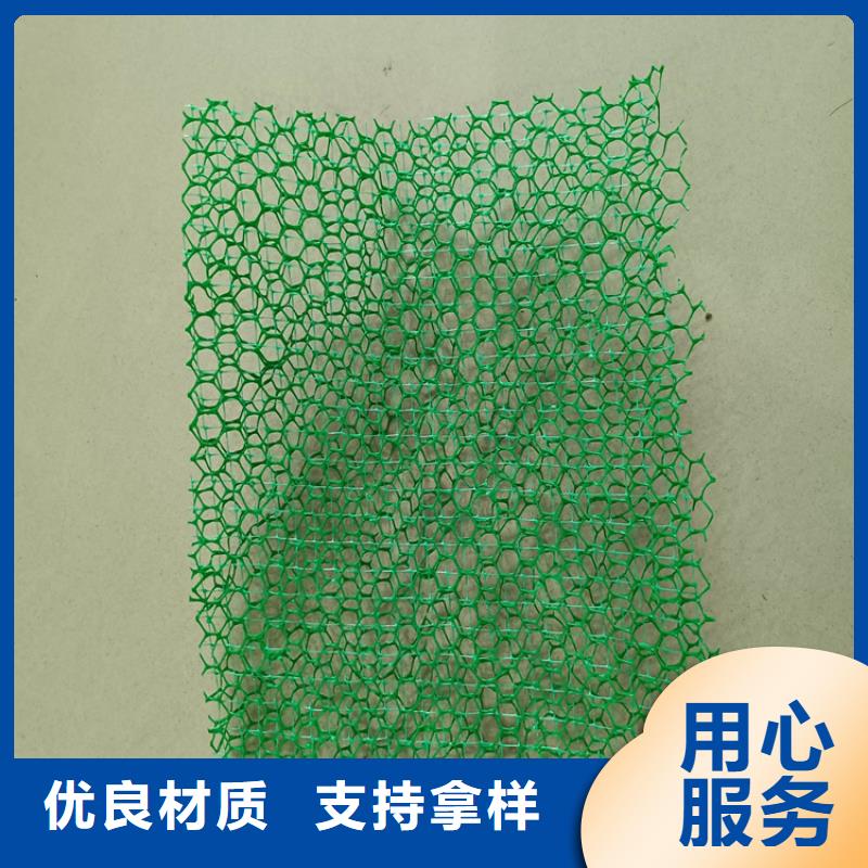 三维植被网,复合土工膜卓越品质保障
