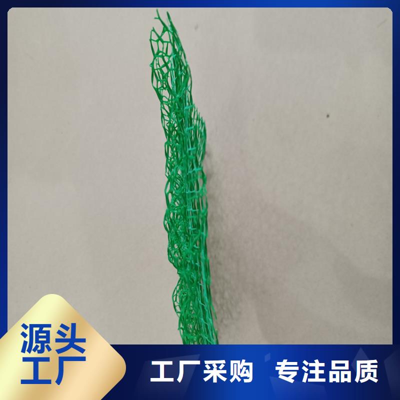 三维植被网膨润土防水毯工程施工案例