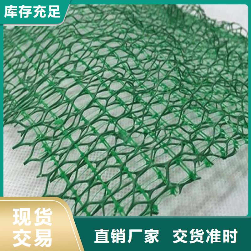 三维植被网膨润土防水毯工程施工案例