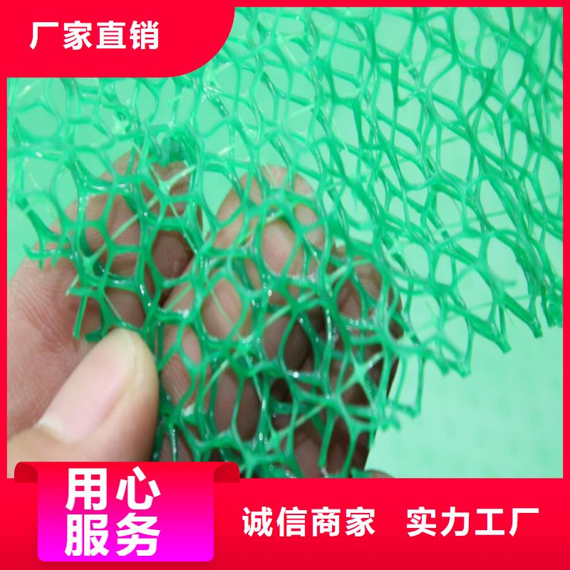 三维植被网土工膜实力厂家直销