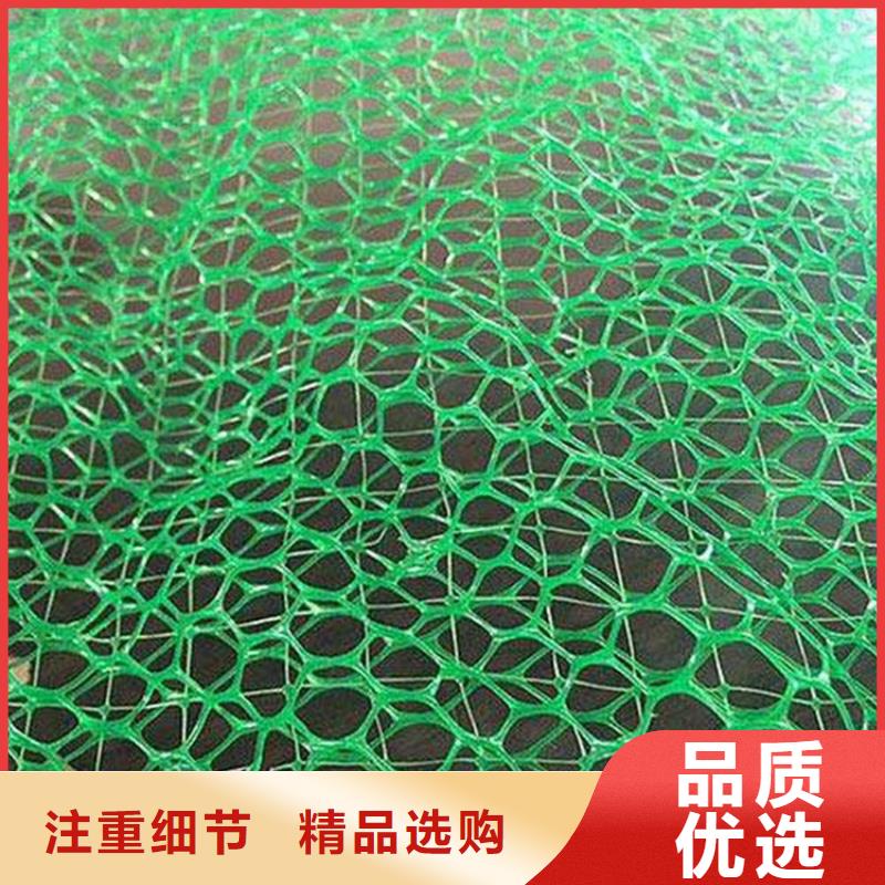 三维植被网膨润土防水毯工程施工案例