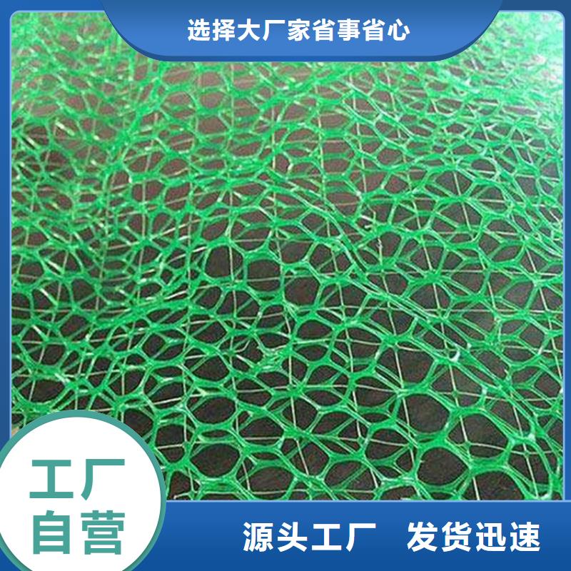EM4三维固土网垫厂家动态