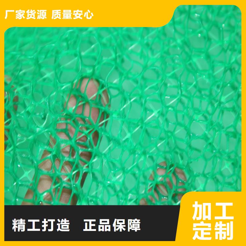 三维植被网,复合土工膜卓越品质保障
