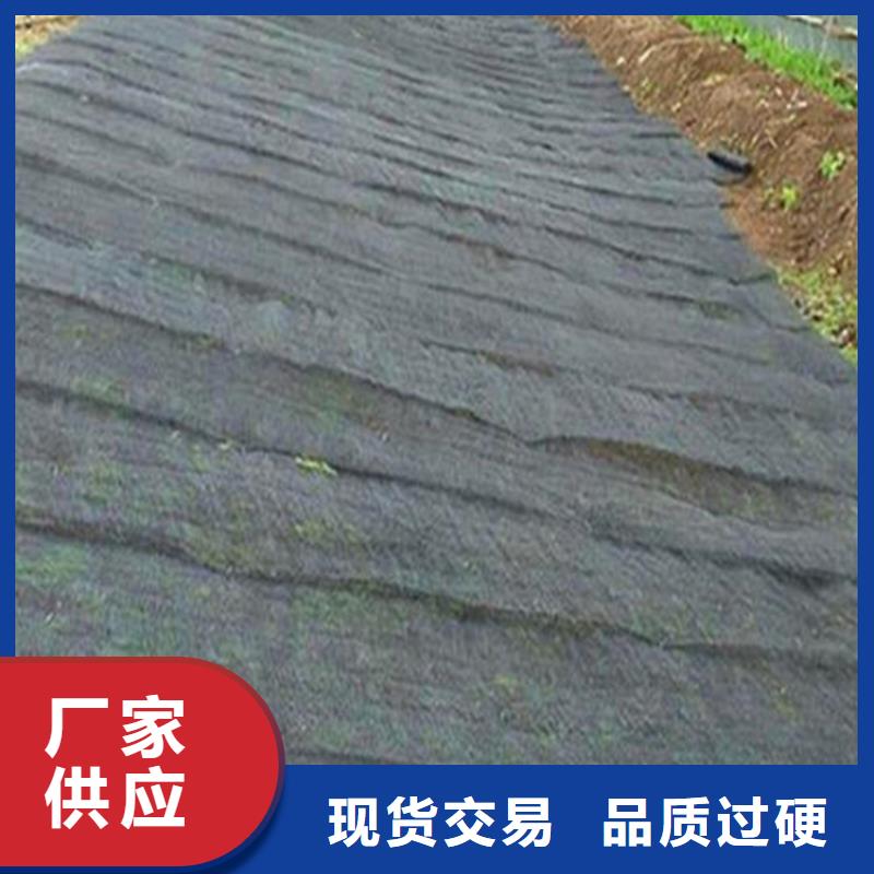 7020水土保护毯厂家