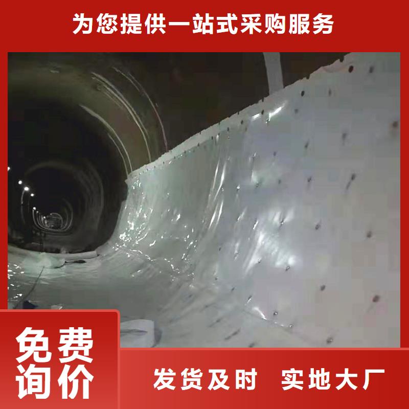 防水板-土工格栅现货交易