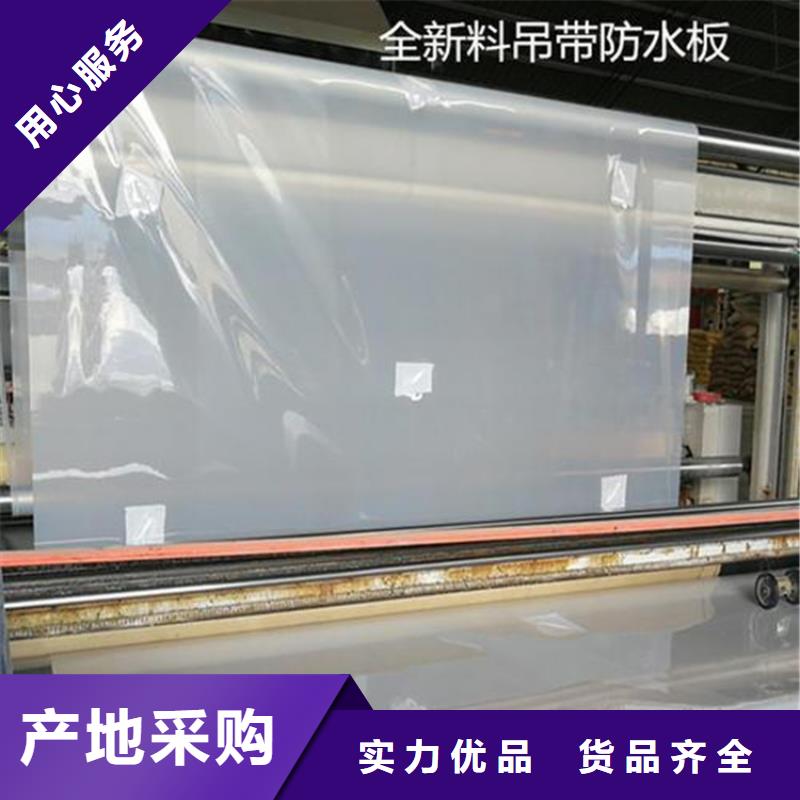 塑料盲沟-视频-塑料盲沟(鼎诺)覆盖地域浙江省宁波市宁海|奉化|台州|舟山|金华|温州|嘉兴|湖州|绍兴