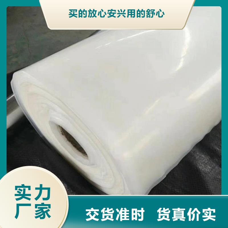 防水板防渗膜我们更专业