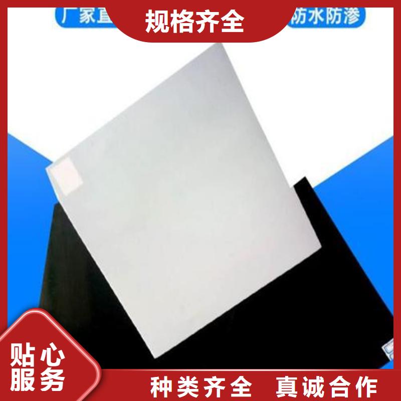 防水板防渗膜甄选好厂家