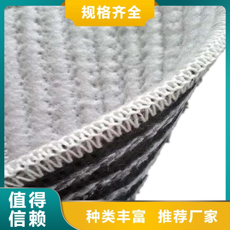 膨润土防水毯防水排水板为品质而生产