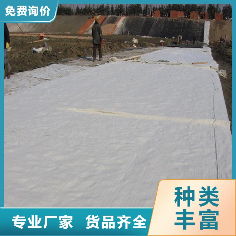 膨润土防水毯防水排水板为品质而生产
