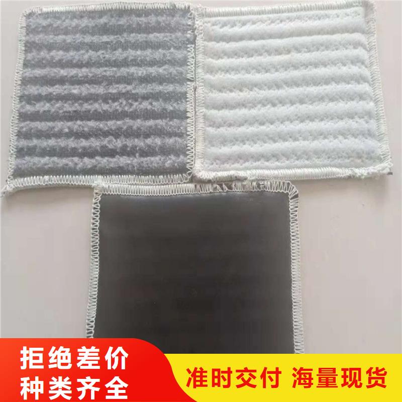 膨润土防水毯-HDPE土工膜精益求精
