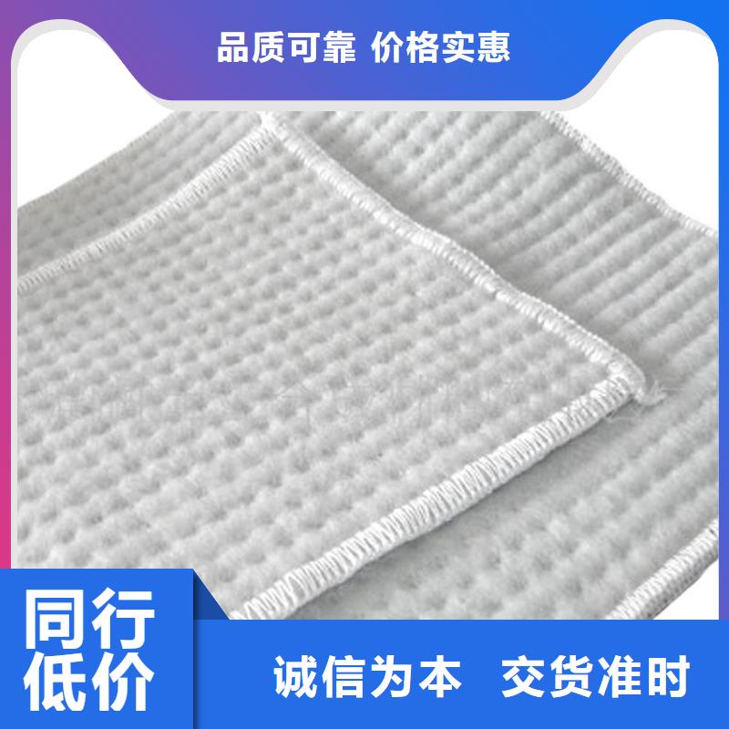 膨润土防水毯-塑料排水板同行低价