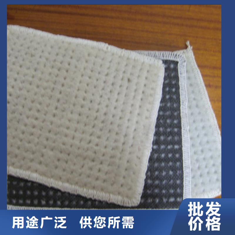 膨润土防水毯-塑料排水板同行低价