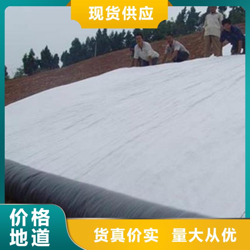 【膨润土防水毯】-土工布快速报价