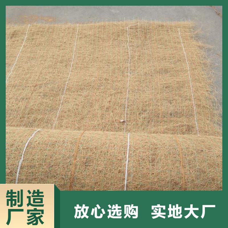 海南乐东县水保抗冲生物毯草籽植生毯