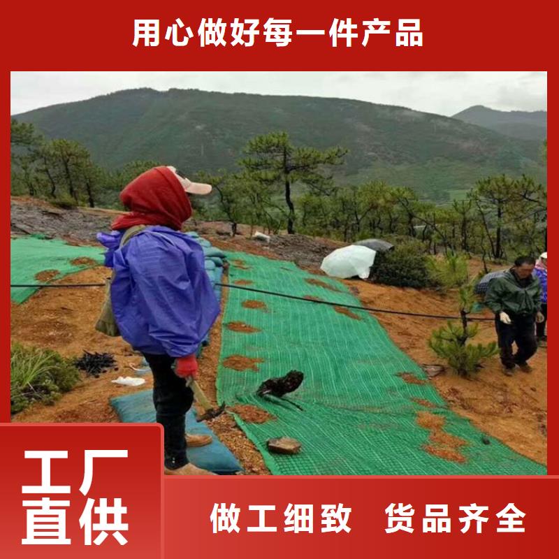 塑料盲沟-视频-塑料盲沟|昌都市|八宿|丁青|那曲|日喀则|林芝|拉萨|阿里|山南