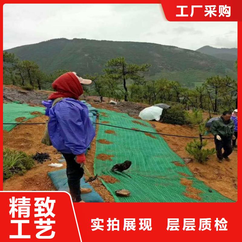 加筋抗冲生态毯有限公司地址