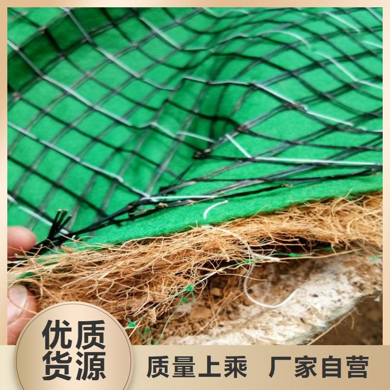 椰丝毯塑料排水板源厂供货