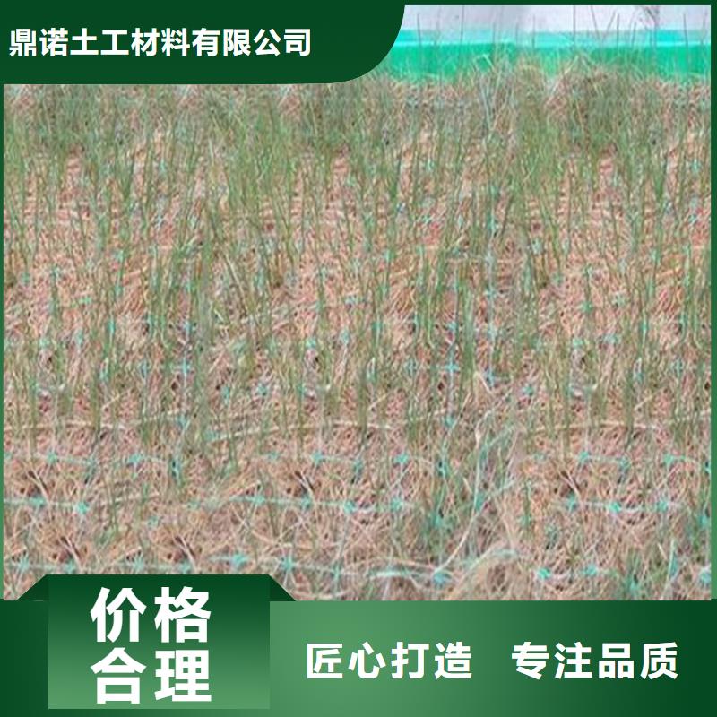 塑料盲沟-视频-哈尔滨市塑料盲沟-【本地】可服务区域平房|松北|牡丹江|绥化|大庆|黑河