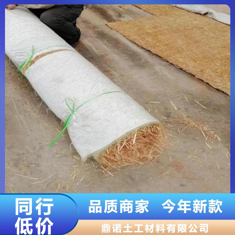 海南乐东县水保抗冲生物毯草籽植生毯