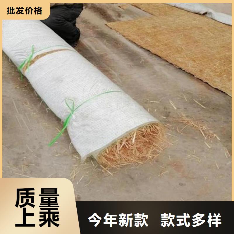 椰丝毯塑料排水板源厂供货