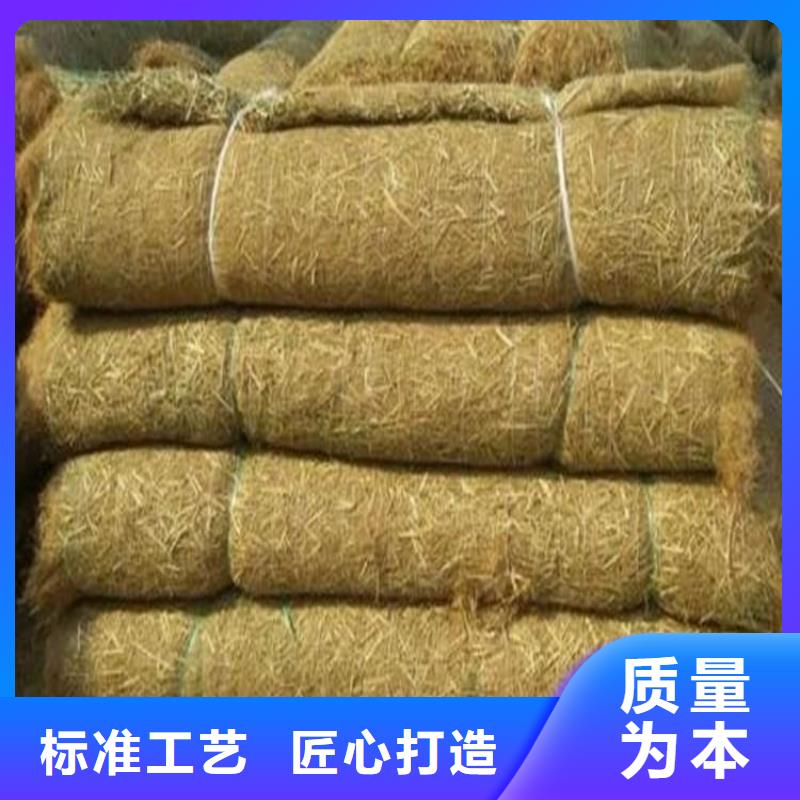 椰丝毯塑料排水板源厂供货
