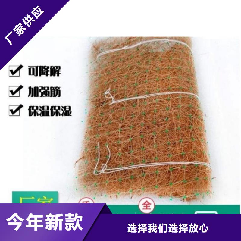 海南乐东县水保抗冲生物毯草籽植生毯