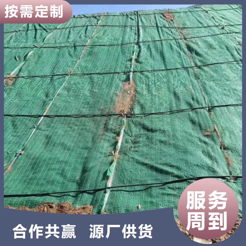 塑料盲沟-视频-塑料盲沟|昌都市|八宿|丁青|那曲|日喀则|林芝|拉萨|阿里|山南