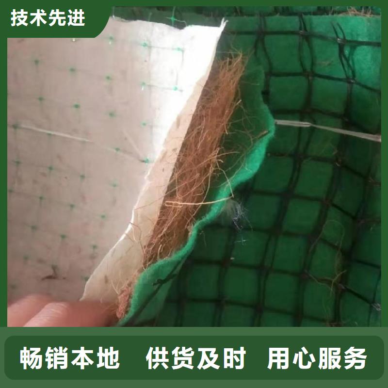 椰丝毯塑料排水板源厂供货