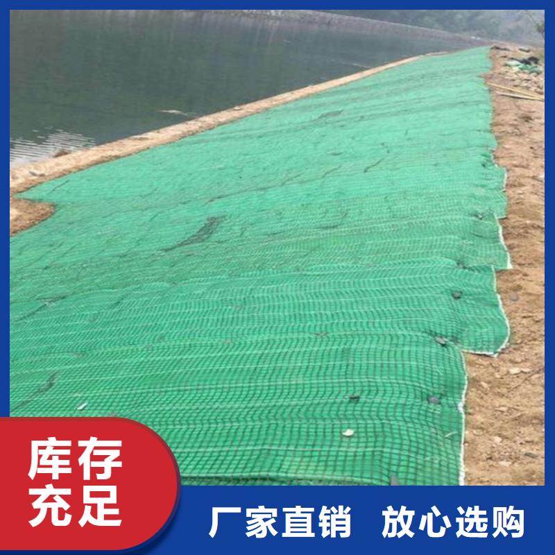 海南乐东县水保抗冲生物毯草籽植生毯