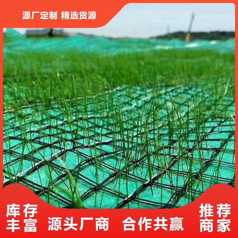 椰丝毯软式透水管精工打造