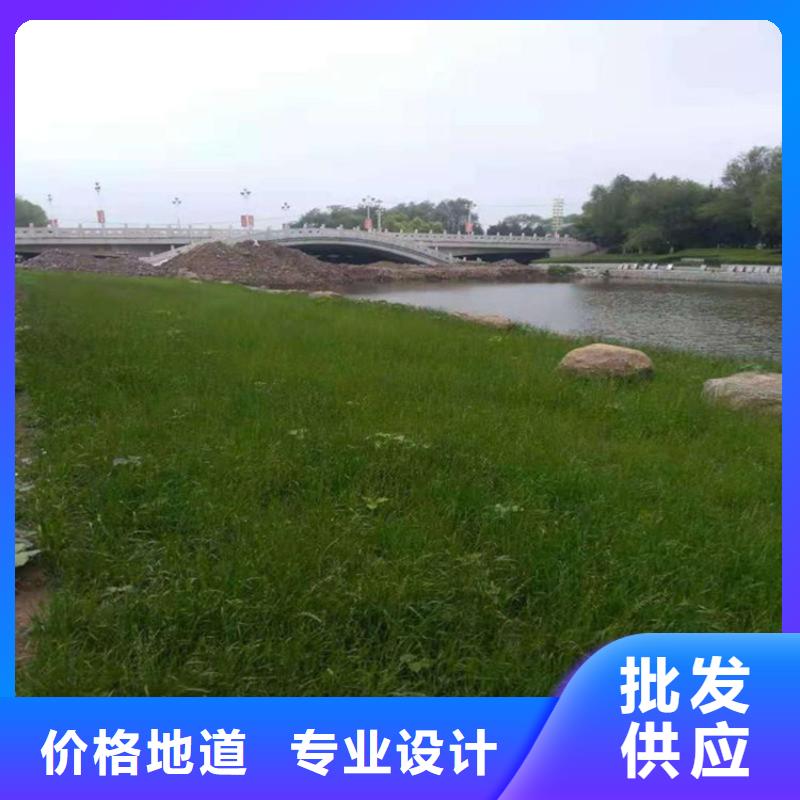 海南乐东县水保抗冲生物毯草籽植生毯