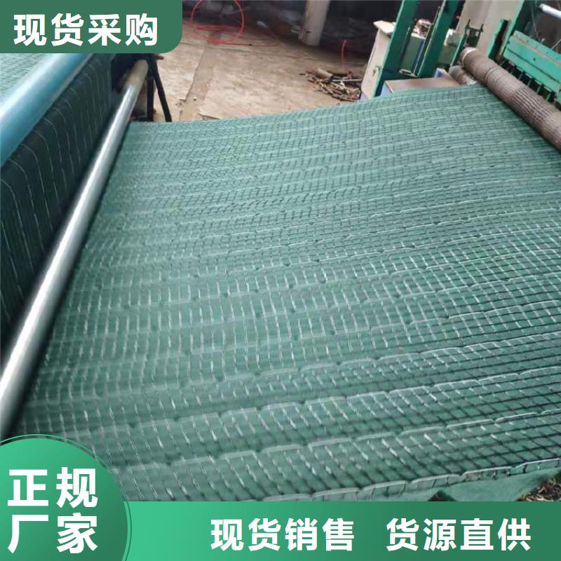 海南乐东县水保抗冲生物毯草籽植生毯