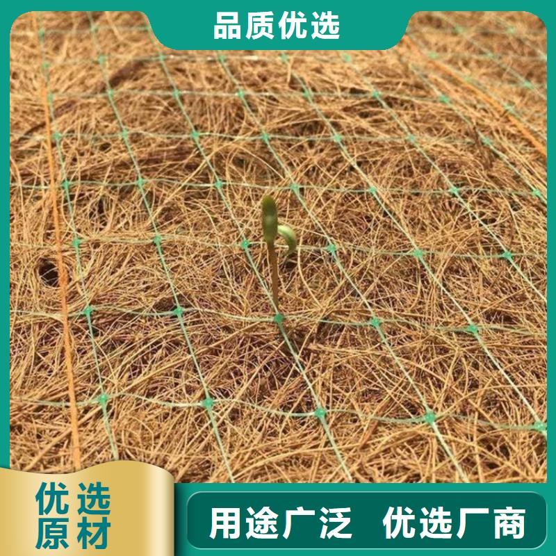 海南乐东县水保抗冲生物毯草籽植生毯