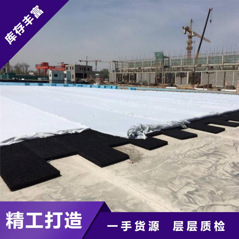 RCP渗排水网垫