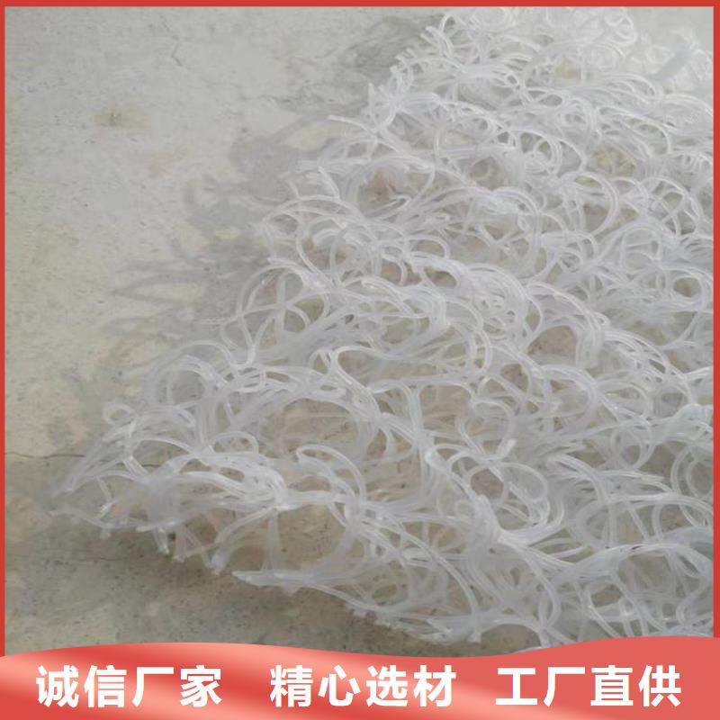 土工席垫HDPE土工膜来图来样定制