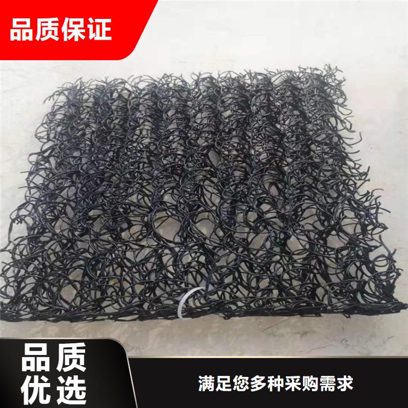 土工席垫HDPE土工膜来图来样定制